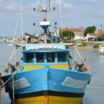 Visite du port et de la plage de Boyardville - Charente Maritime 17